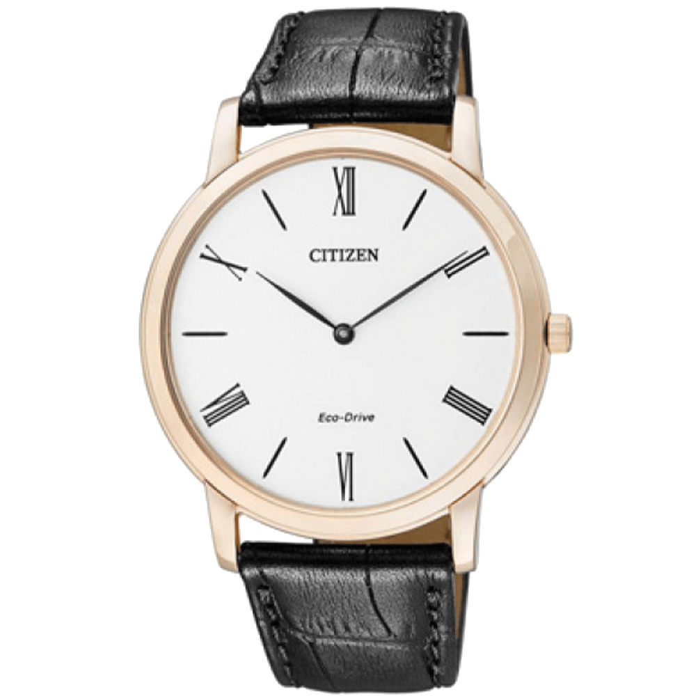 ĐỒNG HỒ CITIZEN AR1113-12B